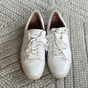 FRYE Ivy low lace sneaker - size 7